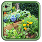 Backyard Vegetable Garden Design icône