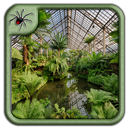 Indoor Botanical Garden Design Ideas APK