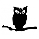APK Spooky Owl