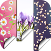 Spring Flowers Backgrounds HD