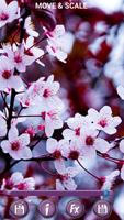 Spring Flowers Backgrounds HD penulis hantaran