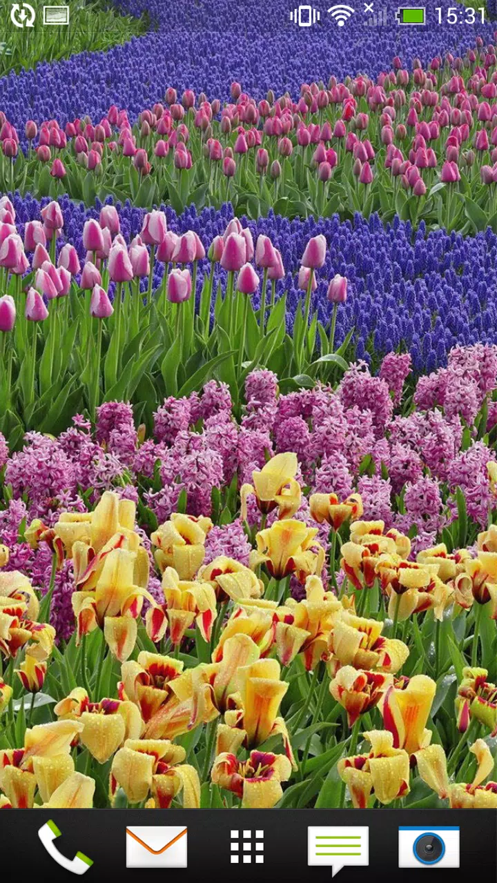 Android向けの春 花 背景 背景 素材 3d 無料壁紙 無料壁紙スマホ Apkをダウンロードしましょう