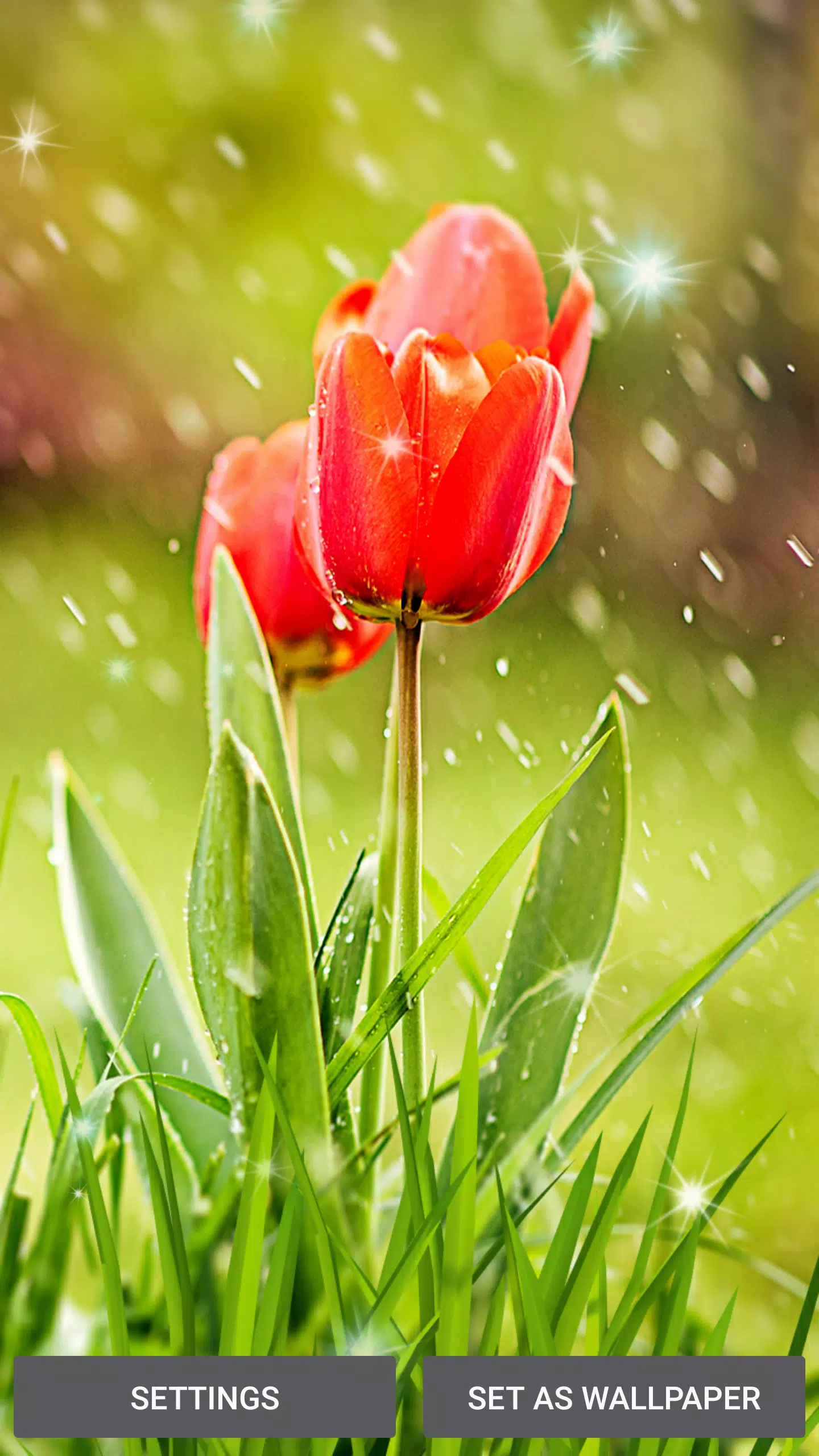 Android向けの春の花 ライブ壁紙 Apkをダウンロードしましょう