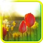 آیکون‌ Spring Live Wallpaper