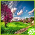 Spring Wallpapers HD - 2018 ícone