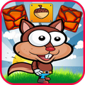 Squirrel  world run