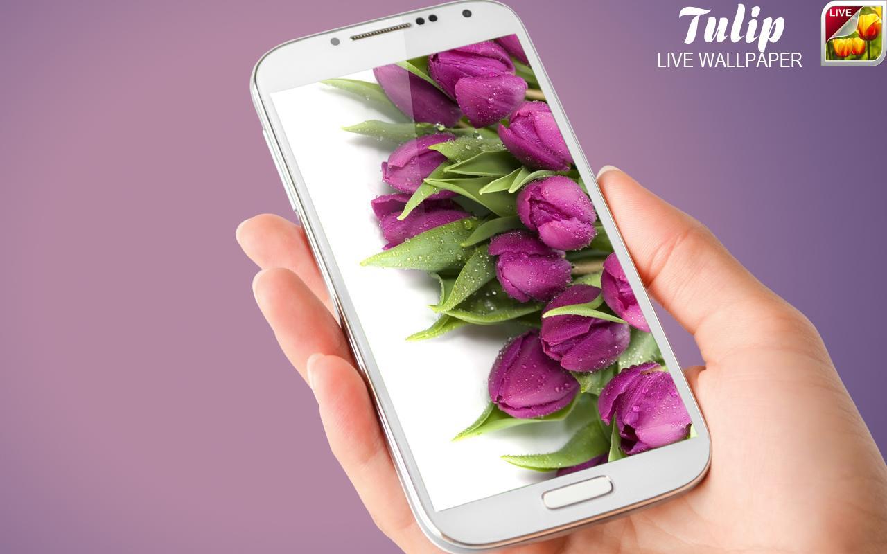 Bunga Tulip Belakang For Android Apk Download