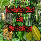 Medicinal plants icon