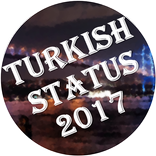 Türk statüsü