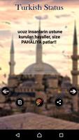 Türk statüsü постер