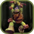 Turtle Jumping Ninja