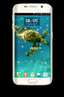 Live Wallpapers - Turtle Affiche