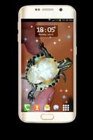 Live Wallpapers - Turtle 截圖 3