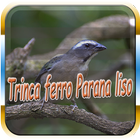 Trinca ferro Parana liso Zeichen