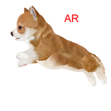 Pet Puppy AR Augmented Reality