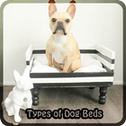 TypesofDogBeds icono