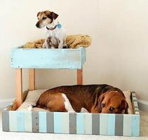 TypesofDogBeds اسکرین شاٹ 2