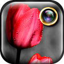 Saringan Warna - Efek Foto APK