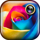 Color Photo Editor APK