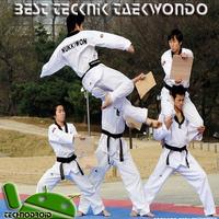 Technique of Complete Taekwondo Practice poster