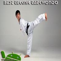 Technique of Complete Taekwondo Practice screenshot 1