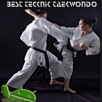 Technique of Complete Taekwondo Practice screenshot 2