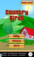 Country Birds Affiche