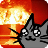 Kittens Exploding on Soda