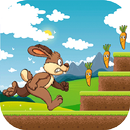 Bunny Jungle Run - Free aplikacja