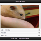 黃金大老鼠的奇幻旅程_by_student_tku14 icon