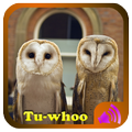 Tu-whoo
