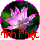 ikon Kinh Phat - Phat Phap Tong Hop