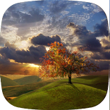 기분 좋아지는 노래 (가요무료듣기)