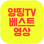양띵TV 베스트 영상 icon