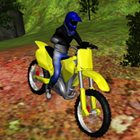 Offroad Motorbike Race 3D