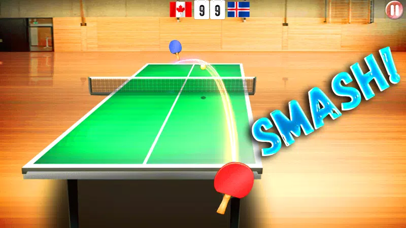 Table Tennis World Tour APK pour Android Télécharger