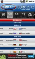 Euro 2012 screenshot 1
