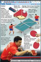 برنامه‌نما Table Tennis Tips and Techniques عکس از صفحه