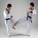 Best Taekwondo Engineering Guide APK