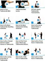 Taekwondo Techniques Affiche