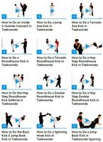 Taekwondo Techniques 스크린샷 1