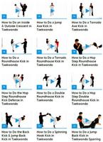 برنامه‌نما Taekwondo Techniques عکس از صفحه