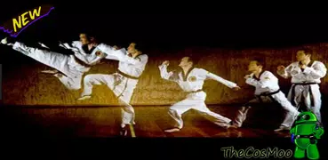 Best Taekwondo Tutorials