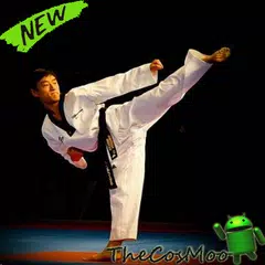 Best Taekwondo Tutorials APK download