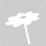 Minima02: Pollination