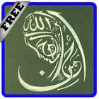 Islamic Kalligraphy Designs icône