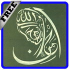 Islamic Kalligraphy Designs أيقونة