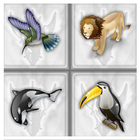 Memory Enhancement Game icon