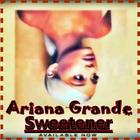 Ariana Grande - Pete Davidson Songs icône