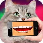 Talking Cat Translator PRO 图标